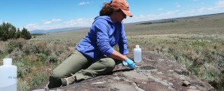 A research scribe a rock in a field of sage. 