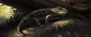 Artistic reconstruction of Bolg amondol