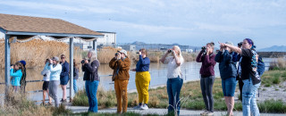 A group of teachers stand in a line looking through binoculars