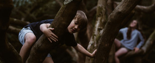 kid climbing a tree