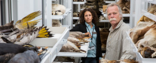 Scientists stand amongst open drawers of collections specimens in the Museum&#039;s collections.
