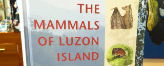 A sign showing the cover of the book Mammals of Luzon Island.