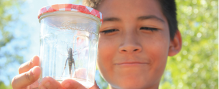 This is an image of a child holding a bug in the jar.