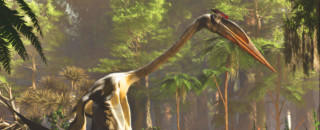 An illustration of Quetzalcoatlus, a large pterosaur in a jungle.