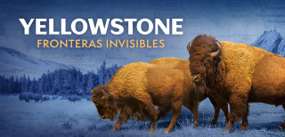 Yellowstone Invisible Boundaries exhibit design