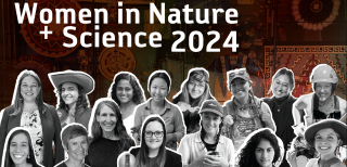 A collage of various women scientists
