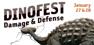 DinoFest Damage and Defense