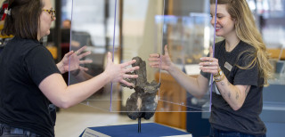 Layne Sermersheim and Katie Vitti installing the dinosaur case at a Traveling Treasures move.