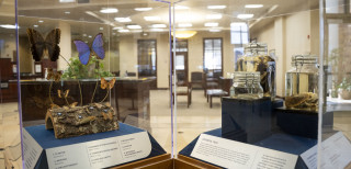 Insect and Mammals case at the Traveling Treasures installation.
