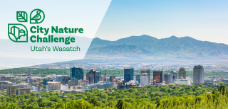 city nature challenge banner