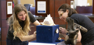 Layne Sermersheim and Katie Vitti installing the Shells case at a Traveling Treasures move.