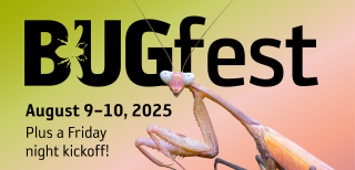 FINAL BugFest 2025 Banner