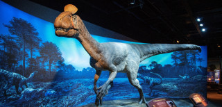 A statue of a dinosaur.