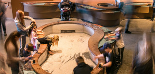 The Land Gallery at NHMU.