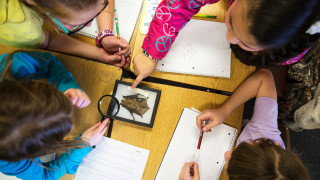 A top-down view of four students observing a bat specimen in a box, with notebooks