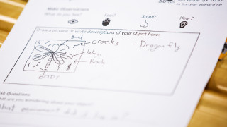 A worksheet showing observations of a dragonfly fossils