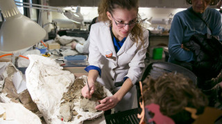NHMU Volunteer Pippi Pecchia Bekkum demonstrats fossil prep work in a lab at the Museum. 