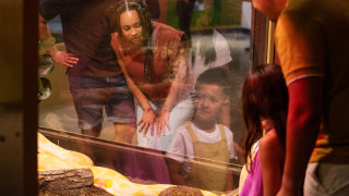Guests look at a python in a case in the Wild World exhibit. 