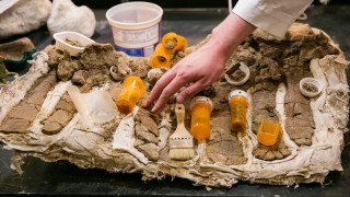 A tour guide shows a fossil in a prep lab at the Museum.