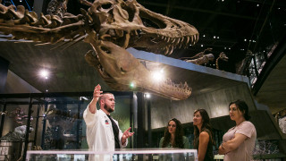 A tour guide shows guests through a dinosaur exhibit at NHMU.
