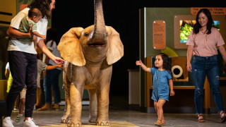 A young girl runs toward a model of an elephant.