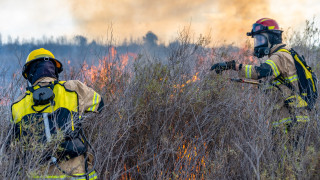 Firefighters fight a brushfire. 