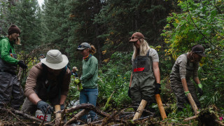 Volunteers work on a trail in a forest. 