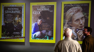 Guest stand before a projection that shows the National Geographic covers featuring Jane Goodall.