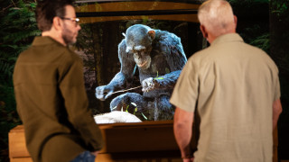 Guests look at a projection of a chimp using a stick to eat termites. 