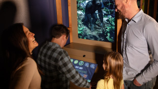 A family interacts with the Chimp Chat interactive in the Becoming Jane exhibit. 