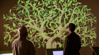Guest interact with a digital projection of a tree in the Becoming Jane exhibit. 