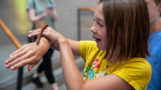 A child watches as a millipede crawls across her hands.