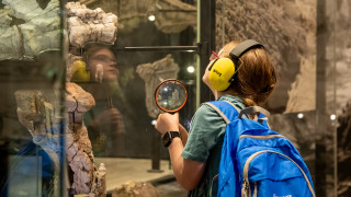 A child wearing ear muffs looks at a dinosaur fossil at NHMU.