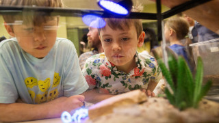 Kids look at a scorpion inside a glass case. 