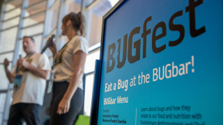 A sign advertising the BUGfest bug bar.