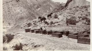 A historic black and white photo of crates of fossils awaiting pickup on a hillside.