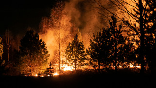 Wildfire Burning Trees