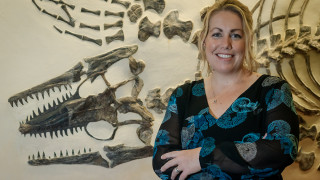 Laura Wilson Mosasaur Dinofest 2025 Underwater Worlds Keynote