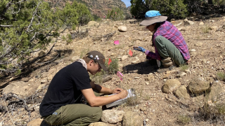 Sam Miller and Jamie Greenland cataloging artifacts.