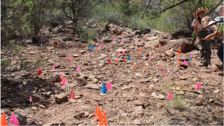 Range Creek students flagging site artifacts.