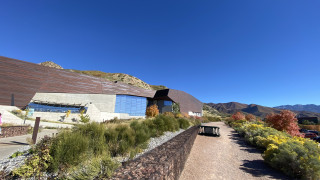Cool image of nature around the museum