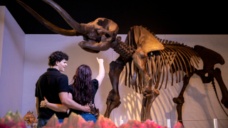 couple looks at mastadon