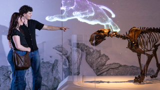 exploring animals in Mysteries of the Ice Ages