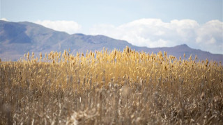 the great salt lake shorelands preserve