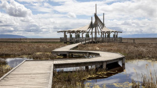 boardwalk at the great salt lake shorelands preserve