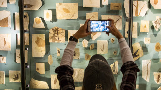 The Past Worlds exhibit at NHMU.