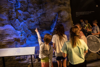 Students explore Past Worlds Gallery