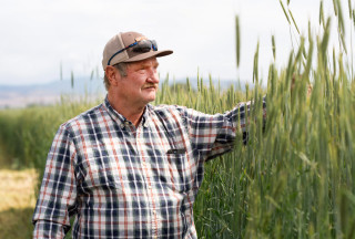 A man standing in a wheat field.