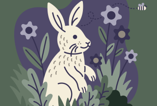 A cartoon bunny rabbit.