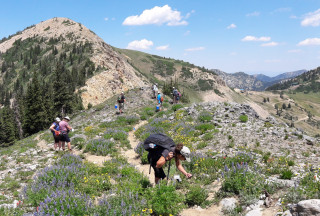 A mountain vista with a teacher in the foreground taking a picture of a wildflower